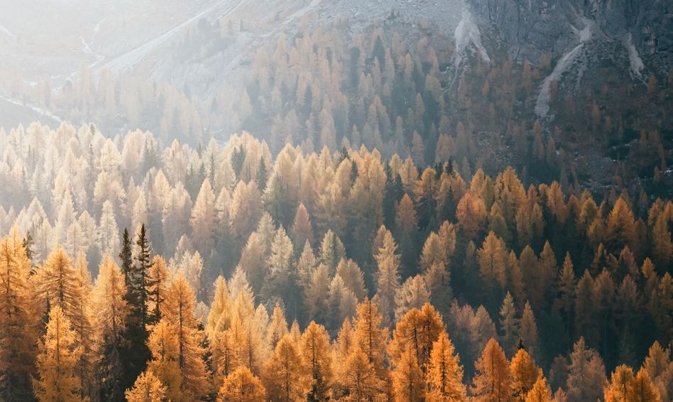 RECUPERACIÓN PARA EL OCIO Y TURISMO DE ESPACIOS MINEROS